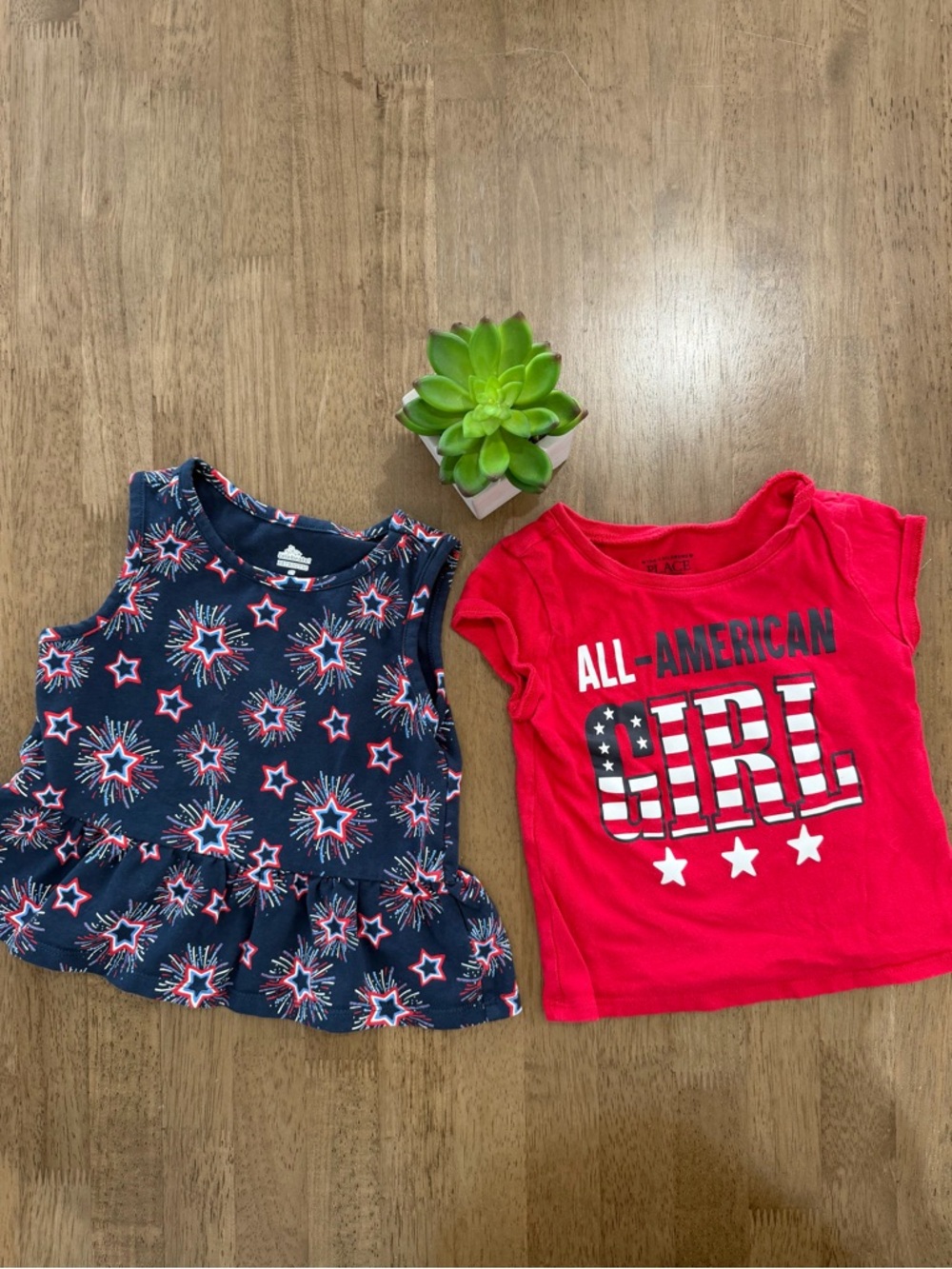 Bundle of Two Patriotic Tee Shirt Tops - 2T
